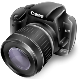 Website Images Shoud be
